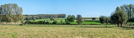 Green panorama from Zandbergen by Werner Lerooy