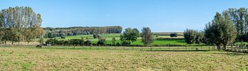 Green panorama from Zandbergen by Werner Lerooy