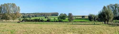Green panorama from Zandbergen