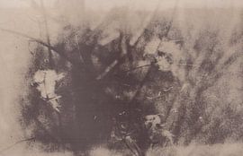 Meadow _ 03