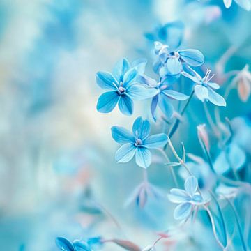 Blauwe bloemenpracht