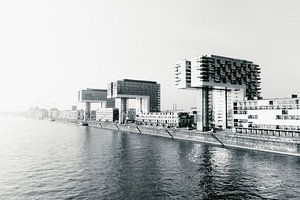 Les Kranhäuser et le Rhin à Cologne