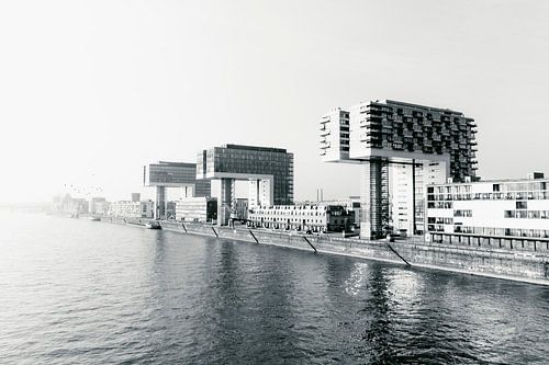 Crane houses and the Rhine in Cologne