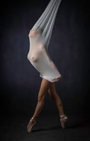 Sheer Stretch