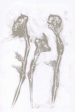 Taupe flowers   in retro style. Modern botanical minimalist art in concrete grey and white by Dina Dankers