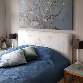 Customer photo: Almond blossom by Vincent van Gogh (soft blue/early dew), on canvas