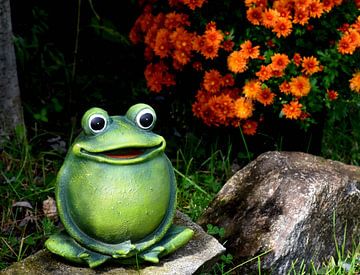A frog in the garden by Claude Laprise