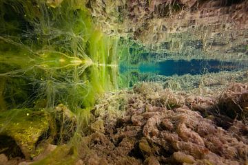 Underwater landscape by Matthijs de Vos