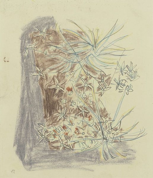 August Babberger - Study for plants by Peter Balan