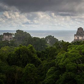 Tempel von Tikal von Dennis Werkman