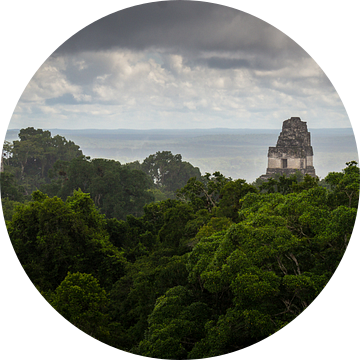 Tempels van Tikal van Dennis Werkman