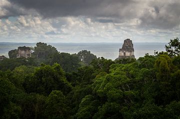 Tempels van Tikal van Dennis Werkman
