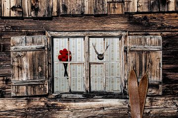 Window view by Jürgen Wiesler