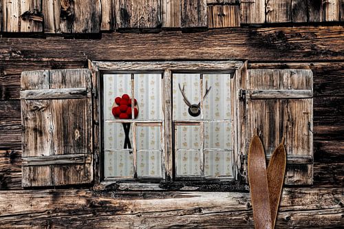 Window view by Jürgen Wiesler