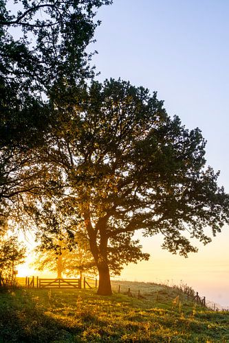 Limburg, das Geul-Tal vom Schaelsberg aus, Herbst 2024