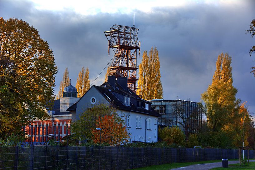 Chaussure supérieure 20 par Edgar Schermaul