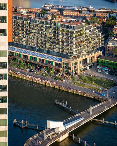 Fenix I van Peter Hooijmeijer