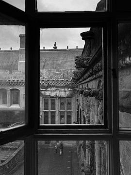 A Look Outside The Window by Tony Buijse