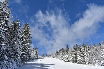 The recreation ground in winter by Claude Laprise