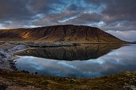 Een meer tussen de lavavelden op IJsland van Melissa Peltenburg thumbnail