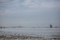 Schaatsers op de Ryptsjerksterpolder