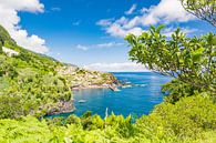Blick auf das Dorf Seixal an der Küste der Insel Madeira von Sjoerd van der Wal Fotografie Miniaturansicht