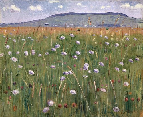 Weide, Ferdinand Hodler