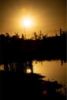Sonnenaufgang in Oostvaardersplassen