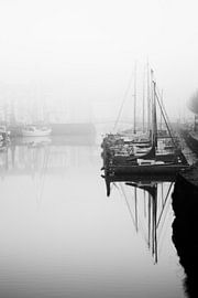 Zeeuwse haven van Lidia Lyn