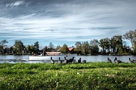 Nederlands landschap van Norbert Vaessen