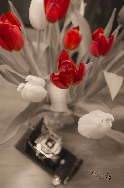 Tulpen van Erik Reijnders