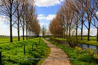 Hollands polderlandschap met toepasselijke tekst van Irene Damminga thumbnail
