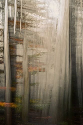 Duno landgoed part 41