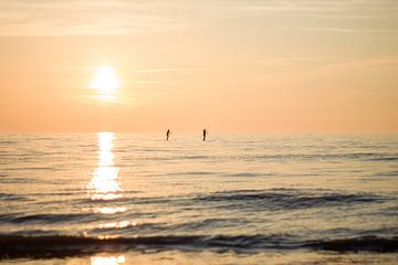 Sun Worshippers