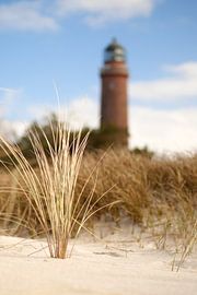 Leuchtturm Darßer Ort von Jörg Hausmann