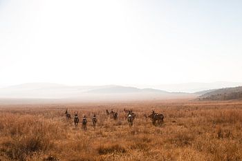 South African Steppe with Heartbeast