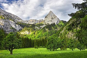 Groene weide en steile rotsen in de Ammergauer Alpen van Andreas Föll