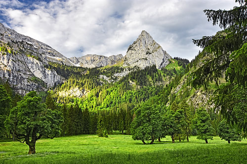 Grüne Wiese und Fels in den Ammergauer Alpen