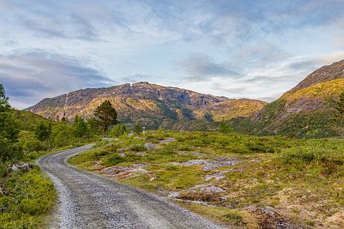 Weg naar de vrijheid