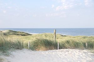 Dans les dunes près de Callantsoog sur Danny Tchi Photography