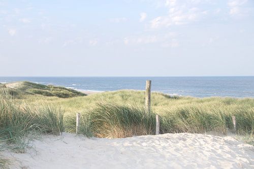 Dans les dunes près de Callantsoog