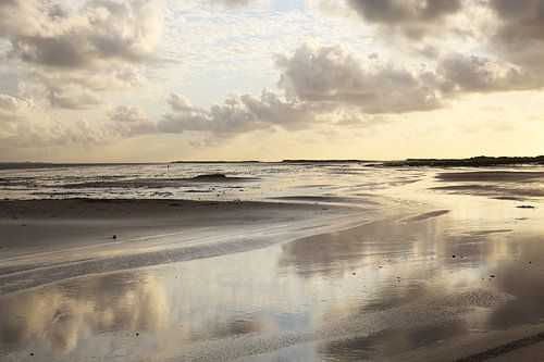 Wattenmeer auf Terschelling (grüner Strand)
