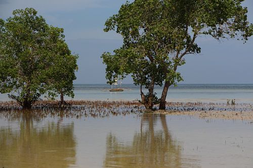 Emerald Beach - Puerto Princessa, Palawan, Filipijnen
