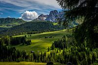 Schattenspiel