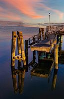 Dalben im Spiegel des Meeres