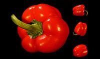 Pepper red collage black background
