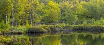 Ruhige Bank inmitten grüner Natur von Karla Leeftink