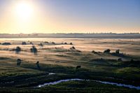 morning fog in the Yerseke Swamp