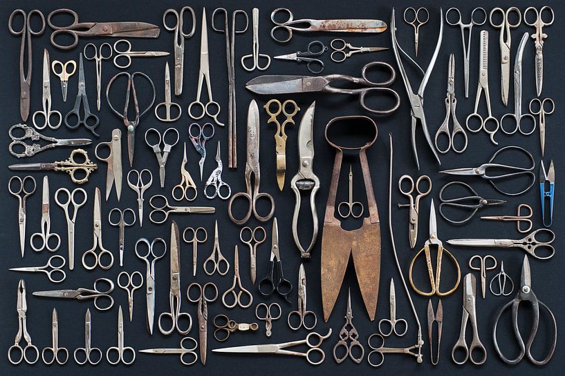 Scissors Collection by Floris Kok