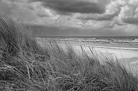 Uitzicht over het strand op Usedom met duinen aan de ene kant en de Baltische Zee aan de andere, in zwart-wit